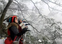 下雪了！2017年广东第一场雪来了！ 体验就去清远市金子山原生态旅游风景区