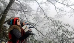 下雪了！2017年广东第一场雪来了！ 体验就去清远市金子山原生态旅游风景区