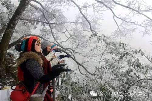 下雪了！2017年广东第一场雪来了！而从化寒冷黄色预警！继续冷冷冷！