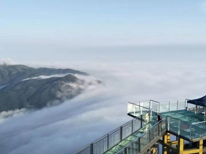 【金子山天梯+玻璃桥】1.6/7挑战金子山天梯+广东最高玻璃廊1417米+森林滑道