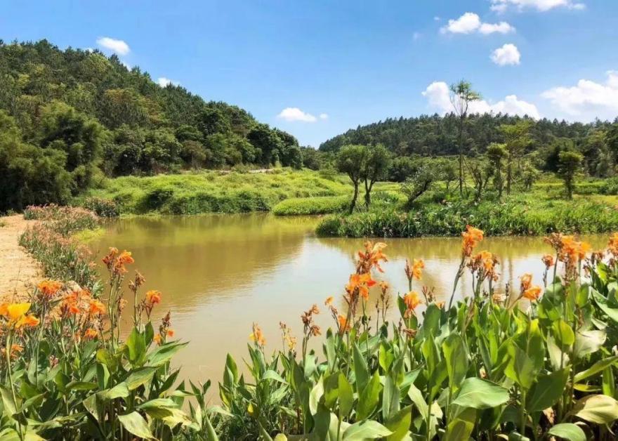 云浮悦天下生态旅游度假区【2018省内暑假十大高性价比酒店】