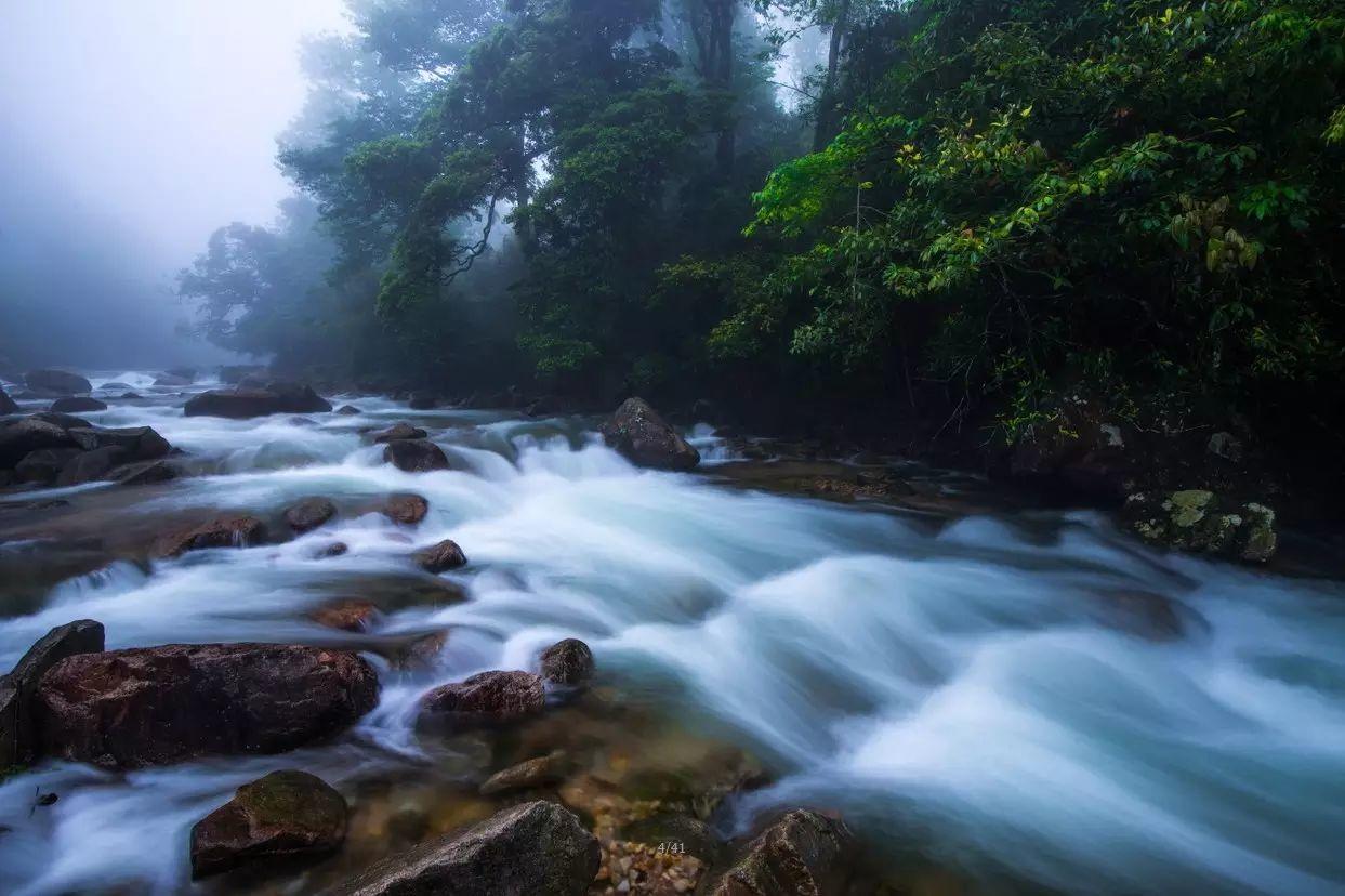 莽山森林温泉