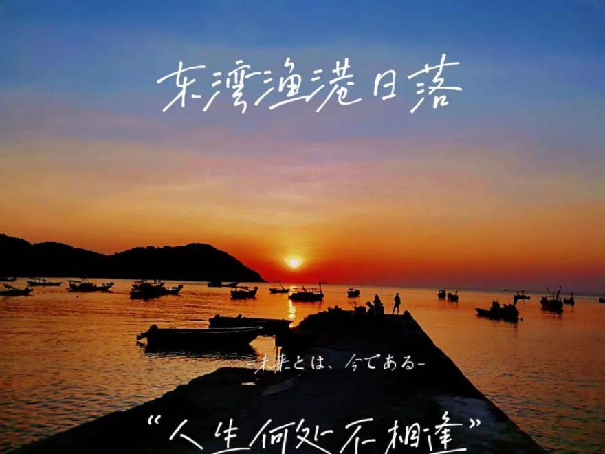 1206464